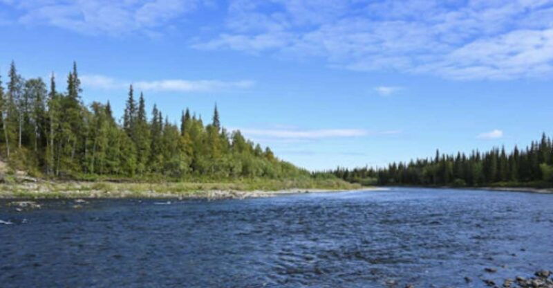 Snake River Full-Day Group Fishing Trip - Who Will Love This Trip?