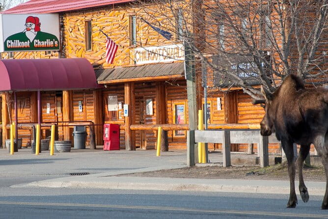 Spenard Neighborhood FOOD & TRUE CRIME Walking Tour - FAQ