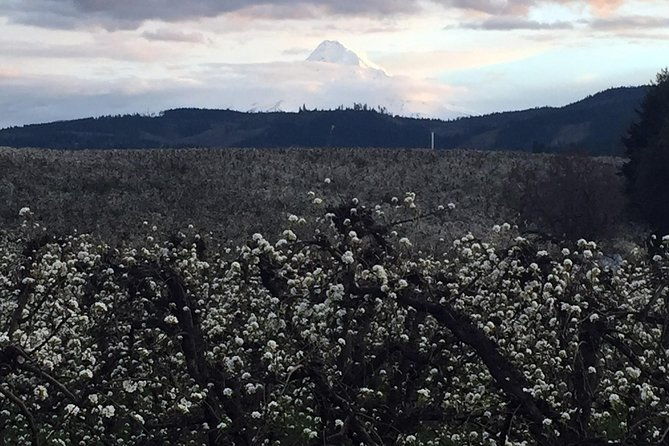 The Hood-Columbia Loop: Timberline, Orchards, and Waterfalls - FAQs