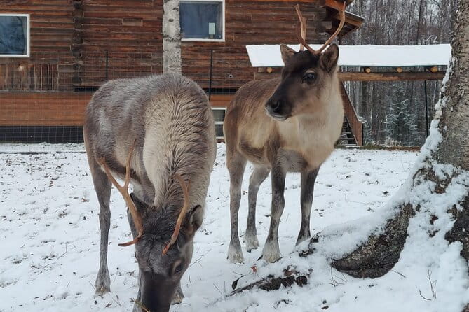 The Reindeer Grove Homestead Tour and Forage - Final Thoughts