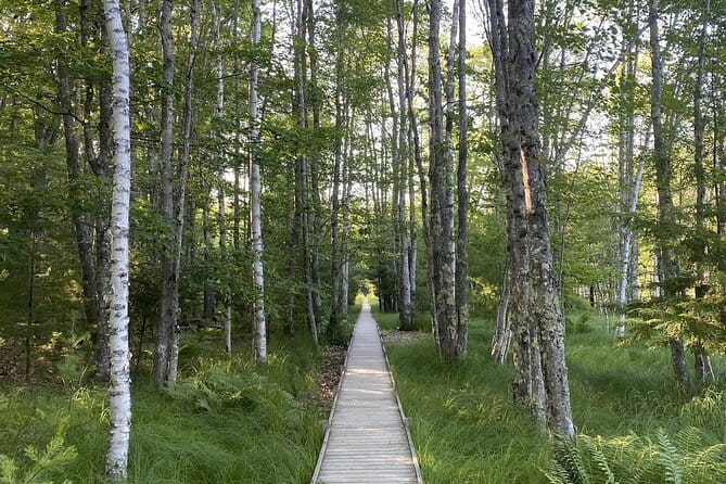 The Way Life Should Be: 4-hr, Private Guided Tour of Acadia NP. - Final Word