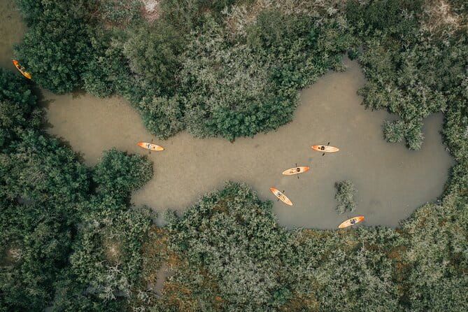 Thousand Islands Mangrove Tunnel Kayak Tour with Cocoa Kayaking! - FAQ
