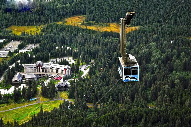 Ultimate Anchorage and Turnagain Arm Private Full Day Tour - Final Thoughts
