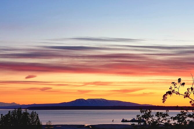 Ultimate Anchorage Winter Wildlife & Sunset Tour - Who Is This Tour Best For?