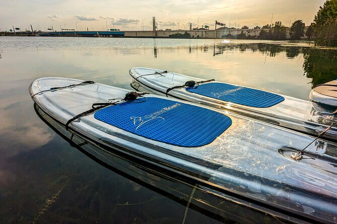 Urban Clear Kayak or Clear Paddleboard in Paradise: Morning/Night - Is It Good Value for Money?