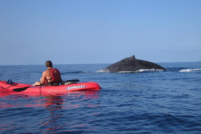 Waterfall Hike and Kayak Snorkel & Paddle from Makena - FAQ