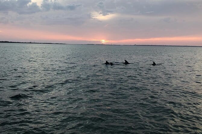 Waverunner Dolphin Tour - FAQ