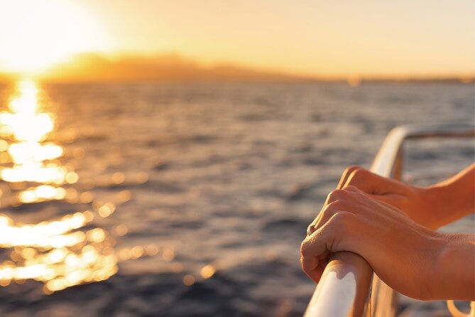 West Oahu Whale Watching & Turtle Snorkeling - Final Thoughts: Is This Tour Worth It?