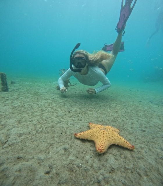 West Palm Beach: Private Peanut Island Boat & Snorkel Tour - FAQ