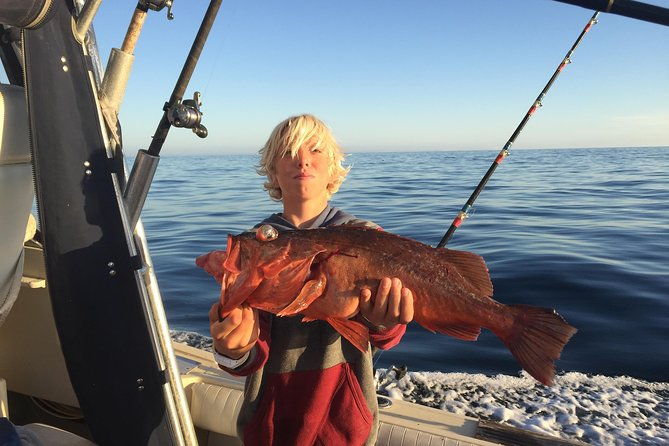 Whale Watching and Fishing Combination Excursions - Price and Value Analysis