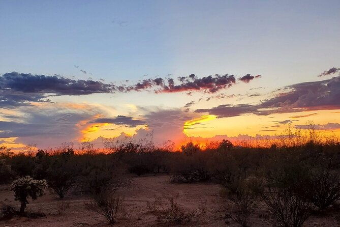 When Nature Calls - Exploring the Sonoran Desert - Wrapping It Up