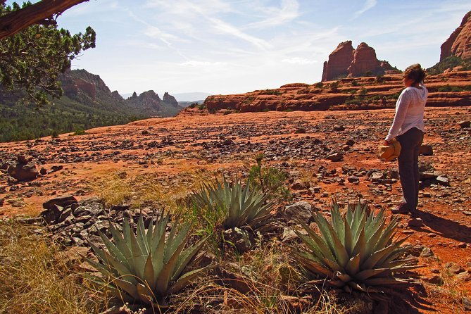 Whole-Day Sedona Vortex Experience - Food and Refreshments