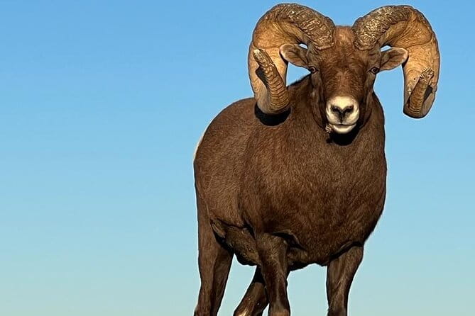 Wildlife Biologist’s Field Expedition: The Badlands Uncovered - Final Thoughts: Is This Tour Right for You?