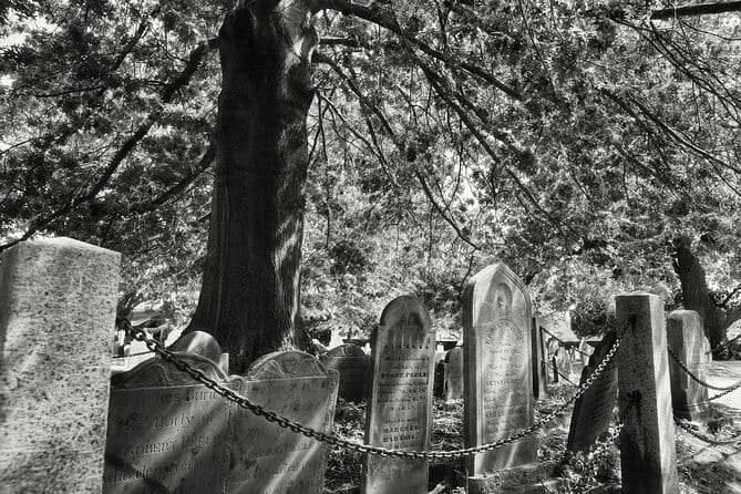 "Witch Trials" Walking Tour in Salem - Who Will Love This Tour?