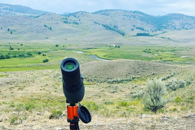 Yellowstone Full-Day Upper Loop with Wildlife Adventure w/Lunch - FAQ
