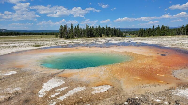 Yellowstone National Park Private Day Tour - FAQ
