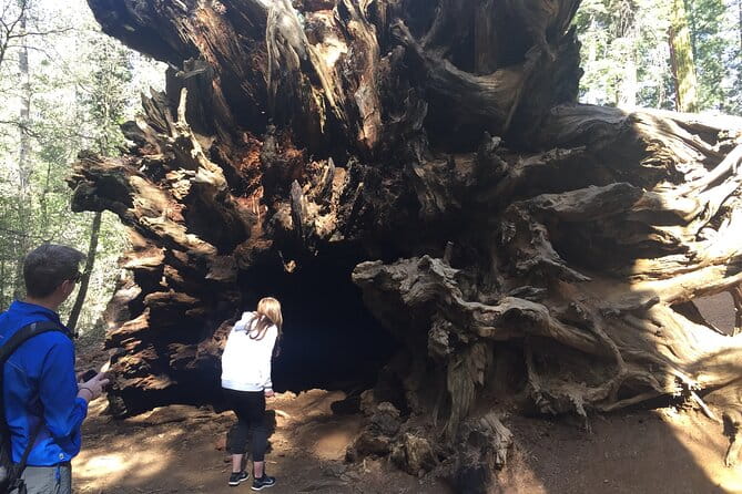 Yosemite Valley Discovery Walk - The Value for Your Money