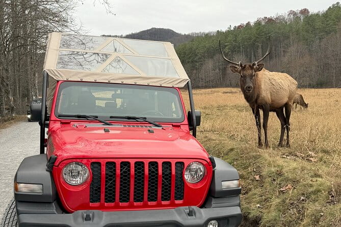 2.5-3 hour Smoky Mountain Cherokee Blue Ridge Parkway Safari tour - FAQ