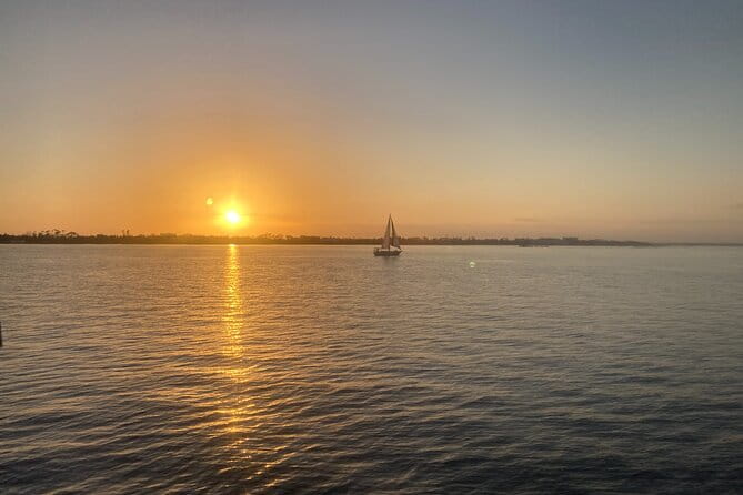 2 Hour Private Dolphin Sightseeing Tour - What Makes This Tour Stand Out?