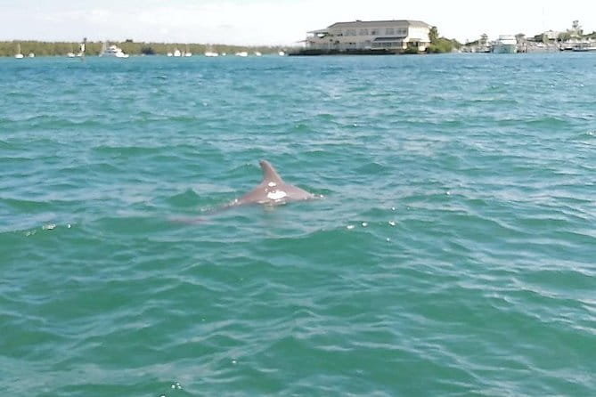 26 Ft Boat, Miami Bay Tour for 2 or 4 hours. 10 people - Cost and Value: Is It Worth It?