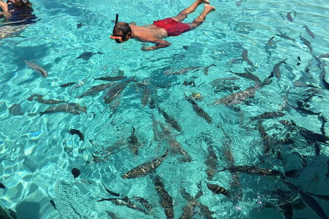 3 Hour Private Snorkeling in Marathon Florida - The Sum Up: The Perfect Choice for Personalized Marine Adventures