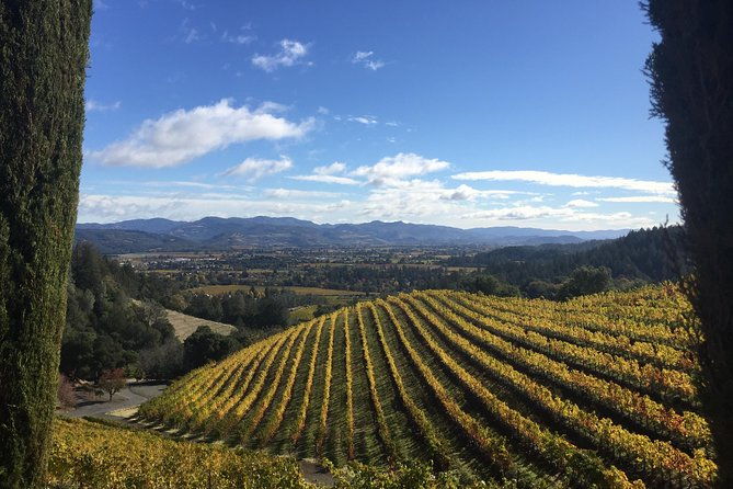 8-Hours Private Limo(up to 8 pass.) Wine Tour of Napa Valley from San Francisco - FAQ (Frequently Asked Questions)