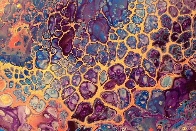 Acrylic Pour Painting Class in Estes Park, Colorado - Who Will Love This Experience?