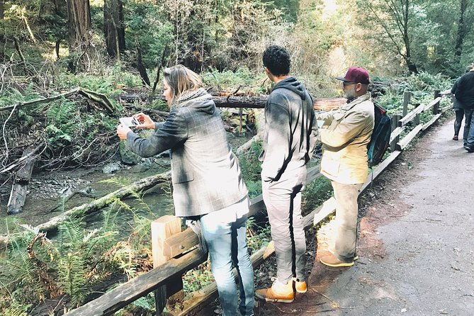 Amazing Muir Woods and Sausalito Tour - Final Thoughts