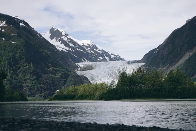 Anchorage to Seward- Pre-Cruise Curated Wildlife Tour +Transfer - FAQ