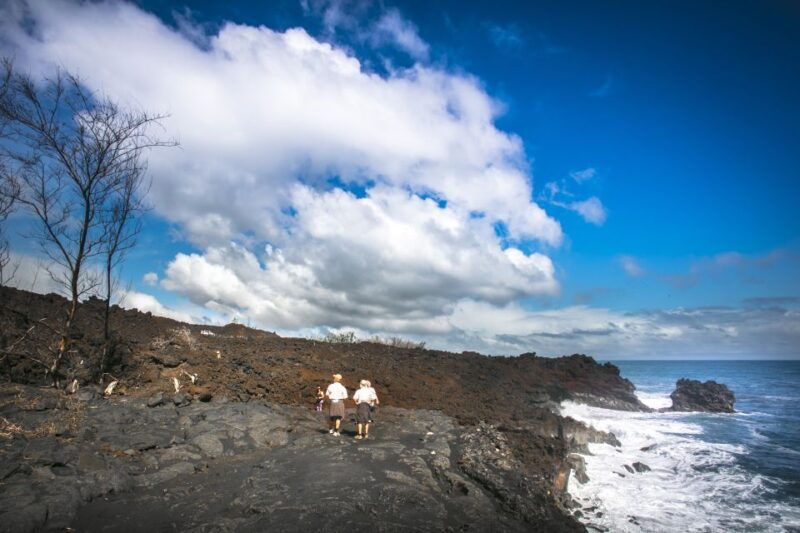 Big Hawaii: Private Guided Van Tour - Transportation and Group Size