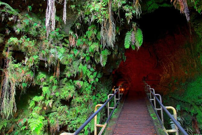 Big Island Half-Day Tour with Lunch - References