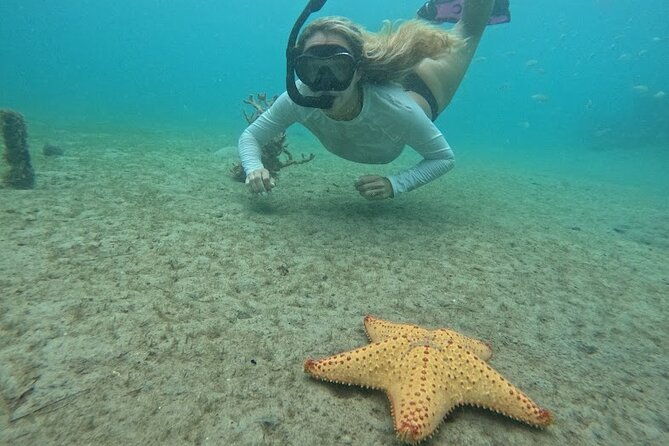 Blue Heron Bridge Guided Snorkel Tour - FAQ