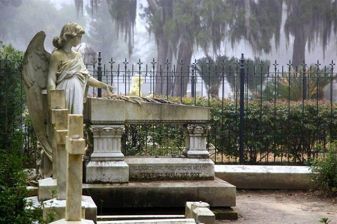 Bonaventure Cemetery Private Day Tour with Shannon Scott - Who Should Consider This Tour?