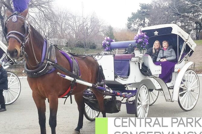 Carriage Ride in Central Park (VIP - PRIVATE) Since 1964™ - Final Thoughts