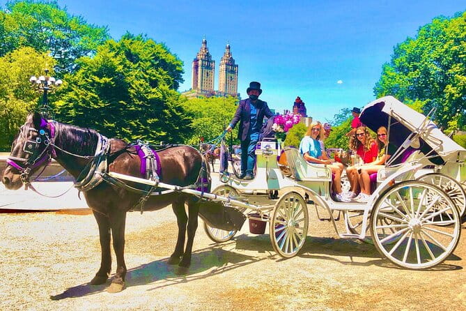 Central Park Horse and Carriage Rides - FAQs