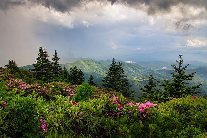 Custom Half-Day Photo Tour with Photography Lessons from Asheville - The Sum Up