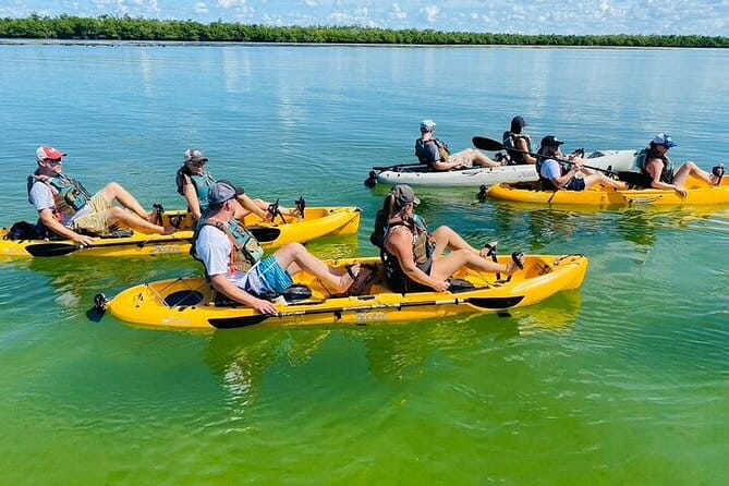 Deluxe Pedal Kayak Tour Marco Island and Naples, Florida - Who Will Love This Tour?