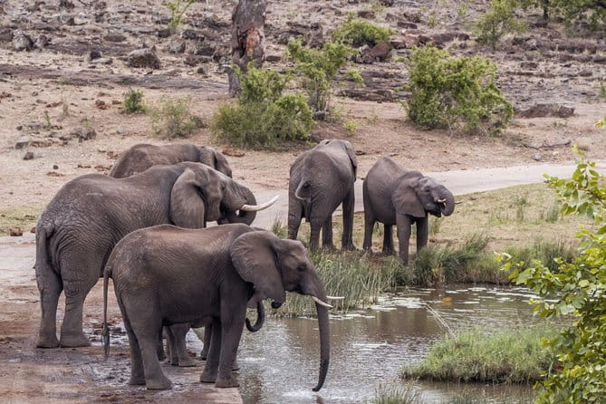 Durban: Big 5 Luxury Safari at an Award Winning Game Reserve — Zeiss Binoculars - FAQ