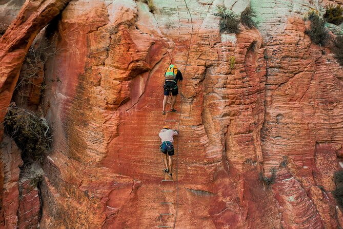 East Zion Elk Heart Cliffs Via Ferrata and Rappelling (3Hr) - Price and Value