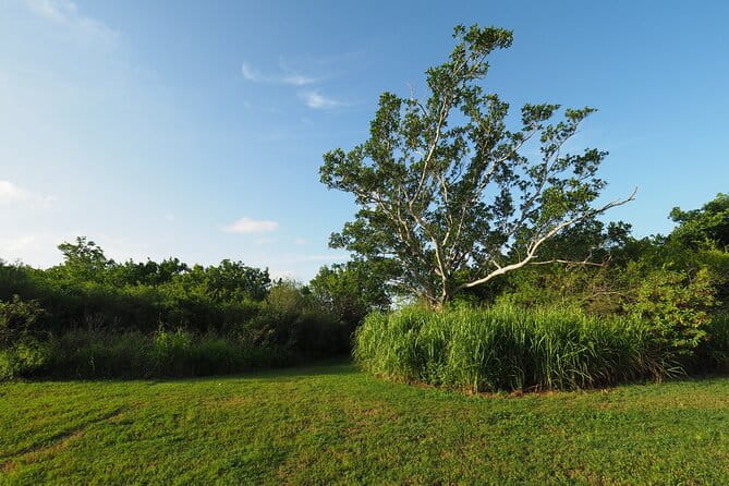 Everglades National Park Self Guided Driving Audio Tour - Stops 6-10: Scenic Trails and Trails Less Traveled