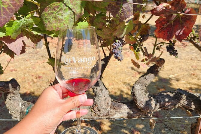From San Francisco: Half-Day Wine Country Tour with Tastings - Final Thoughts