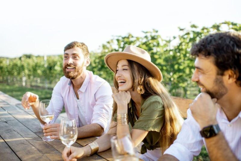 Grape Escapes Full-Day Wine Tour in Ithaca - Who Is This Tour Best For?