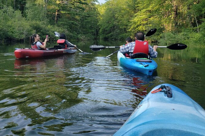 Half Day Kayak Rental on Sebago Lake - Who Should Consider This Experience?