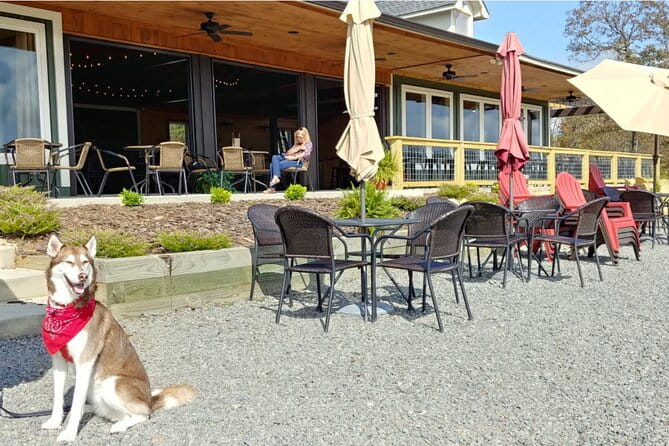 Half-Day North Georgia Wine Country Tour From Atlanta - FAQs