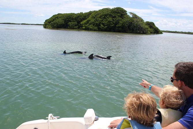Half Day Private Boat Tour - The Sum Up: Is This Tour Right for You?
