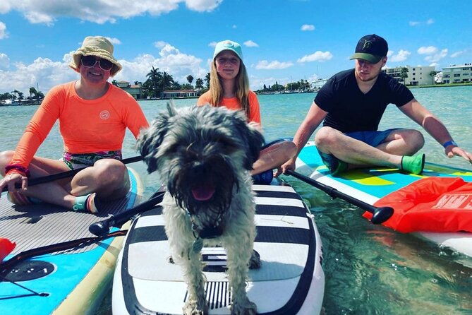 Half Day Rental to John's Pass Sandbar & Mangrove Tunnel - Who Will Love This Experience?