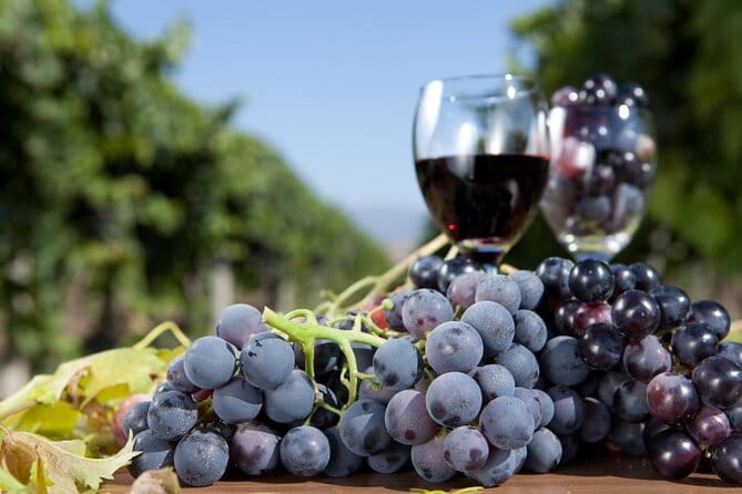 Half-Day Wine Tastings in the North Georgia Mountains - FAQ