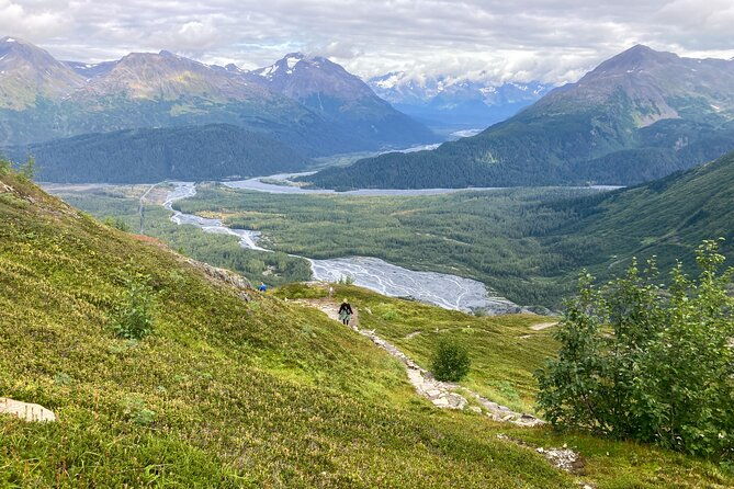 Harding Icefield Trail Hiking Tour - What the Reviews Say