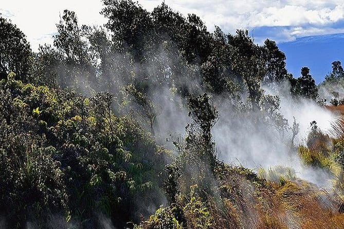 Hawaii Volcanoes National Park Experience from Oahu - Who Is This Tour Best For?