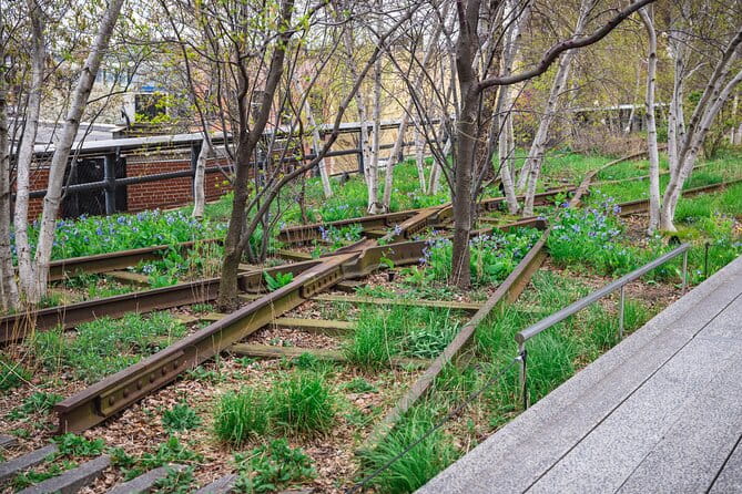 High Line and Chelsea Market 3 Hour Private Tour - Authentic Insights from Reviews